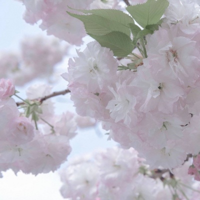 Furry文化趣味解读FurryQQ群